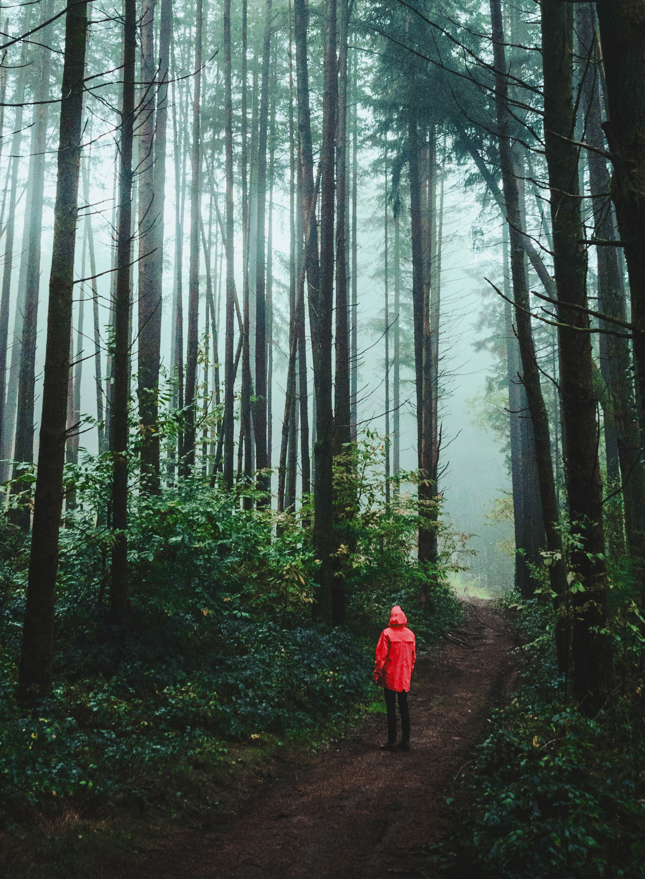 adventure-breathtaking-environment-1895579 2 2